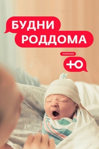 Будни роддома (2024)